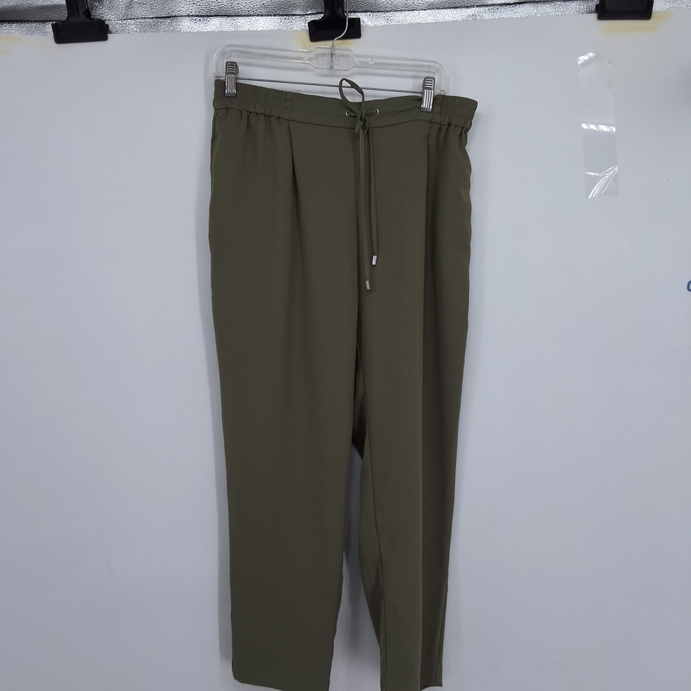 ZARA SZ LARGE Olive Green Womens Pants